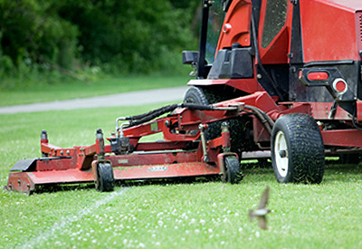 From Start to Finish