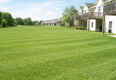 Association Developments